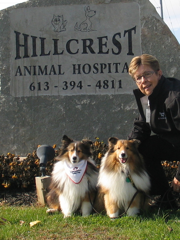 Bandit, Dusty and Joyce Fowler sitting in front of Hillcrest Animal Hospital sign