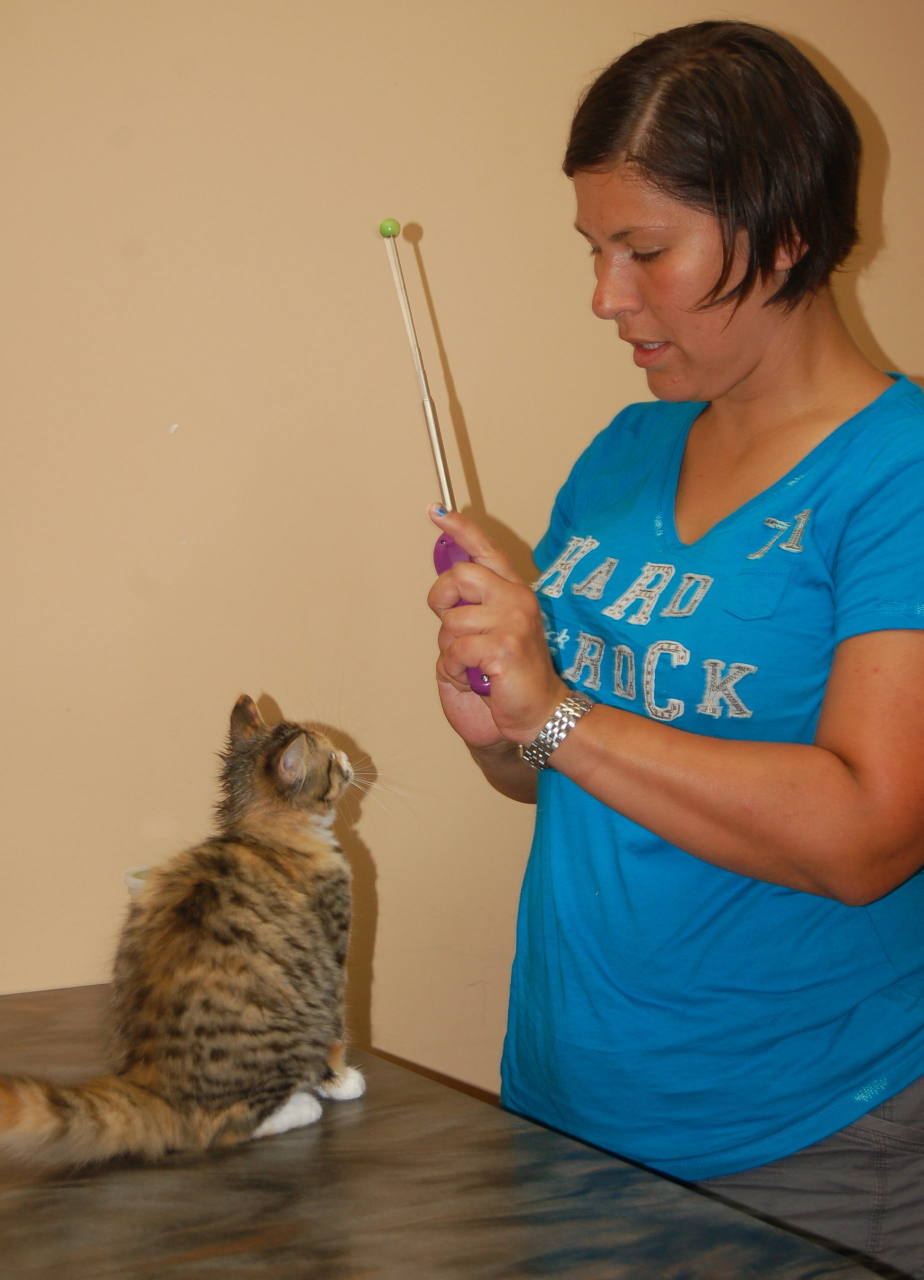 Lisa-Marie training a cat