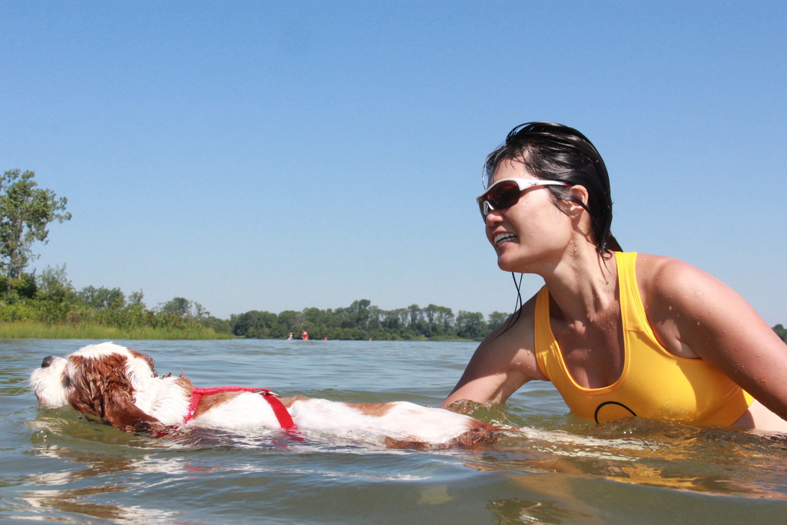 Merlin the dog swimming with Alvita