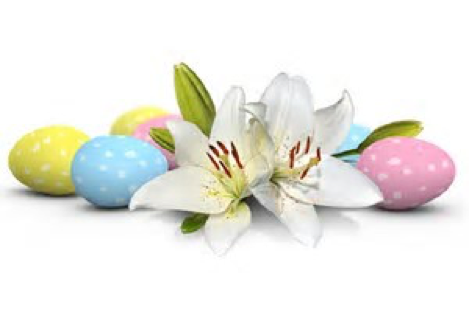 easter flower and eggs