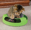 Toy Tips for Cats