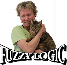 Fuzzy Logic banner