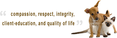 Compassion, respect, integrity, client education and quality of life banner with dog and cat