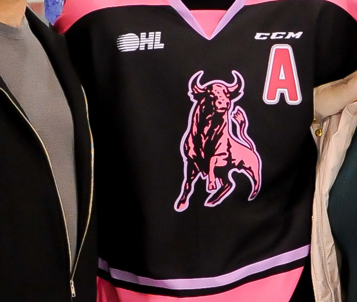 pink bulls jersey