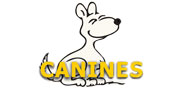 canines1